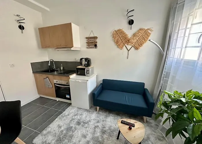 Superbe Appartement Centre De Vichy