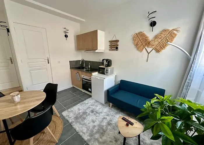 Superbe Appartement Centre De Vichy
